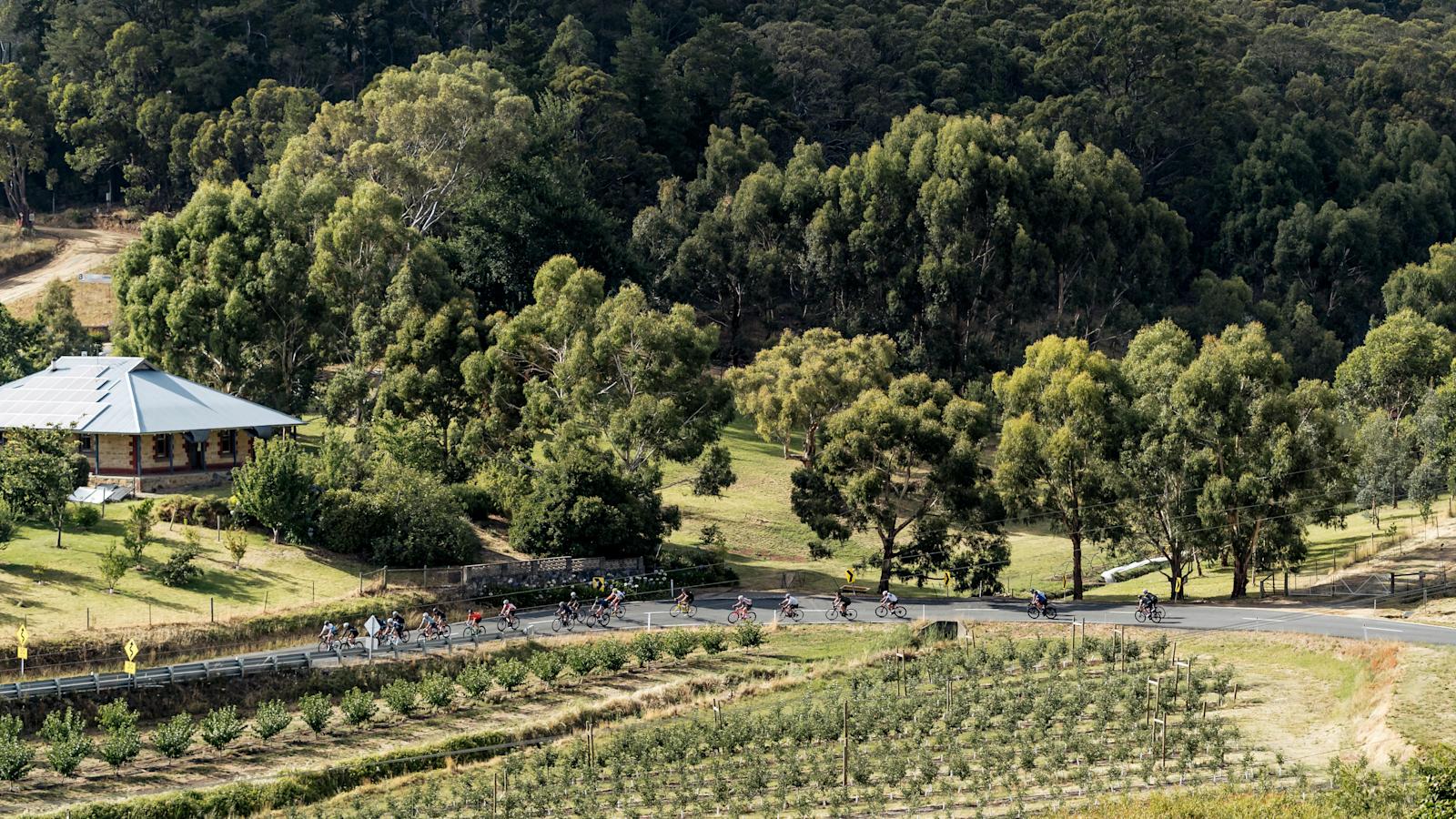 Adelaide Calling Adelaide Calling